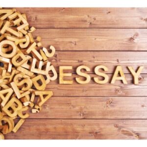 What-Is-Literature-Analysis-essay